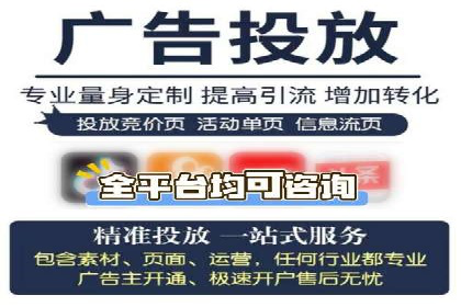 百度竞价广告投放策略：案例分析及效果评估